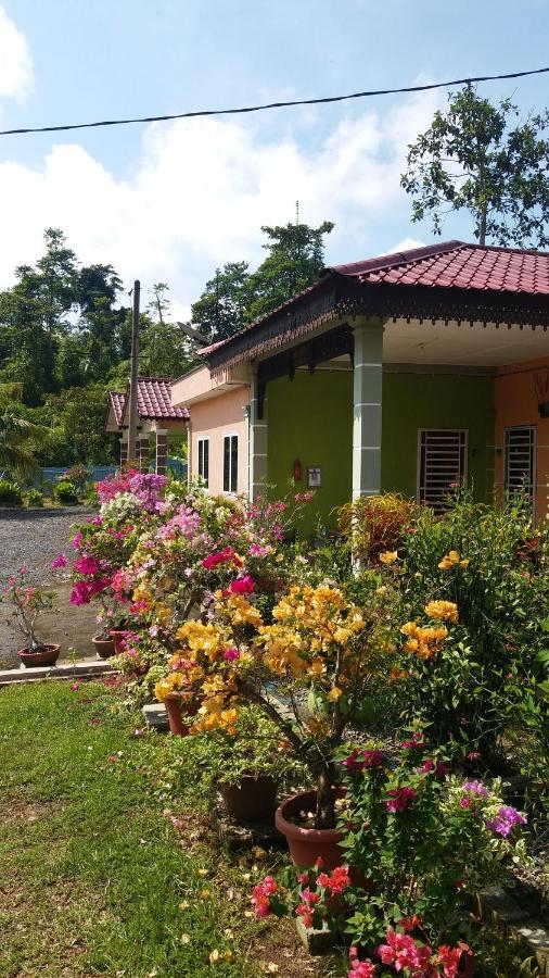 Dhia Irdina Homestay Paya Rewak